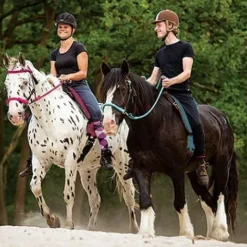 Best RIDE ON physio : trois couleurs au choix Tapis De Selle|Tapis De Selle