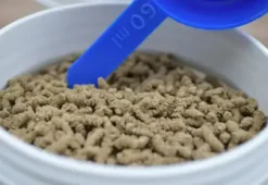 New Biodyne - Ravène Bien-Être Du Cheval·Biotine|Peau Et Sabots·Biotine