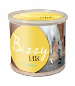 Bizzy Horse 2 Recharges bloc à lécher Bloc À Lécher / Pierre À Sel