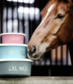 Clearance Bol à muesli XL avec couvercle - - 8L Matériel Pour L'Alimentation·Mangeoires Et Distributeurs