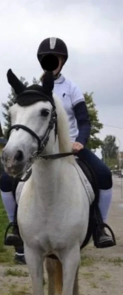 Discount Bombe noire Protections De Tête·Casques D'équitation