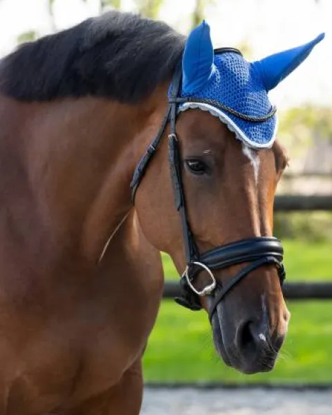 Online Bonnet à mouches color - - Confort et maintien Bonnets|Bonnet Cheval