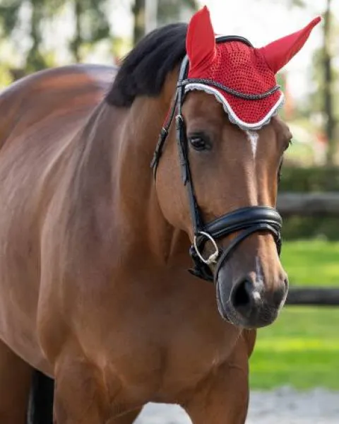 Online Bonnet à mouches color - - Confort et maintien Bonnets|Bonnet Cheval