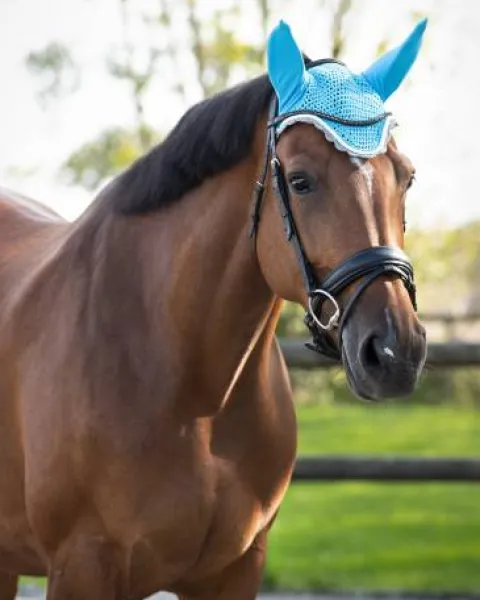 Online Bonnet à mouches color - - Confort et maintien Bonnets|Bonnet Cheval