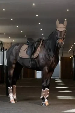 Discount Bonnet anti-mouche Dynair Mesh Sport PLATINUM 2025 - Bonnets|Bonnet Cheval