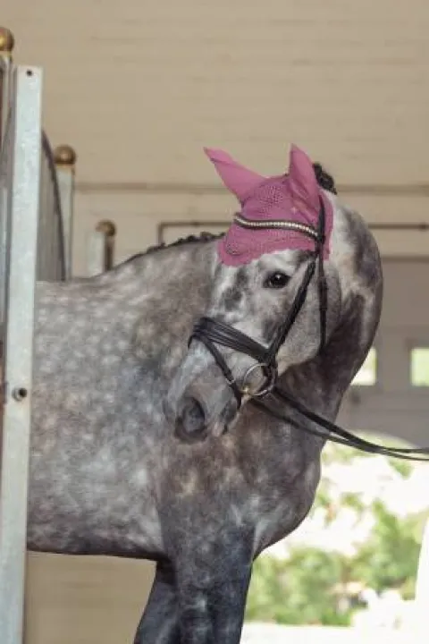 Best Bonnet anti-mouches Crystal Heritage 2025 - Bonnets|Bonnet Cheval