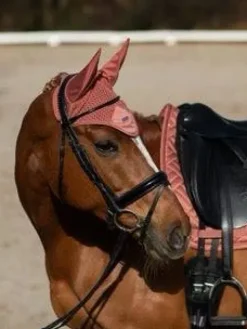 Outlet Bonnet anti-mouches Modern Coral - Bonnets|Bonnet Cheval