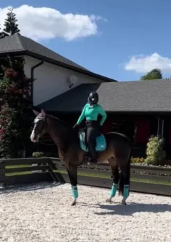 Hot Bonnet Frosty Mint turquoise - Bonnets|Bonnet Cheval