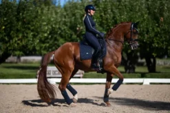 Discount Bonnet Modern Tech Navy - Bonnets|Bonnet Cheval