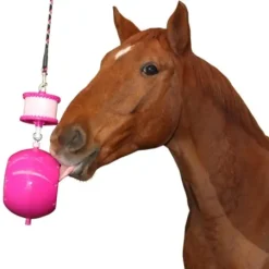 Online Boredom Breaker double support - Aménagement De L'Écurie·Jouets Pour Chevaux