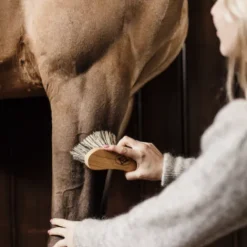 Bouchon dur - Kentucky Bouchons De Pansage