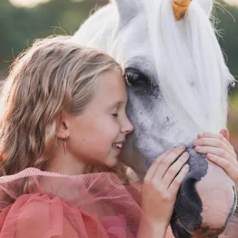 Best Boucle d'oreille Unicorn Stories - Bijoux