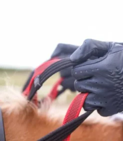 Outlet Bricole avec rênes sécurité Secutrust Enrênements·Bricole