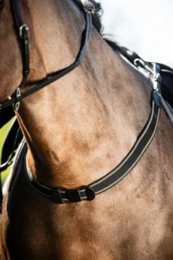 Hot Bricole élastique simple - - fixation mousquetons Enrênements·Bricole