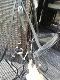 Discount Bride Bridons Et Brides·Bride De Dressage|Brides De Dressage