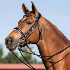 Clearance Bride dressage cuir rond Giocanda Bridons Et Brides·Bride De Dressage|Brides De Dressage