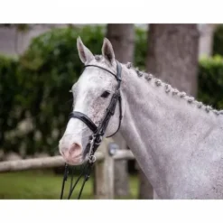 New Bride Courchevel - Collection One - Bridons Et Brides·Bride De Dressage|Brides De Dressage