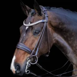 New Bride cuir rond Belissimo - Bridons Et Brides·Bride De Dressage|Brides De Dressage