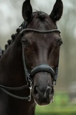 Discount Bride de dressage Grace - - Cuir avec strass Bridons Et Brides·Bride De Dressage|Brides De Dressage