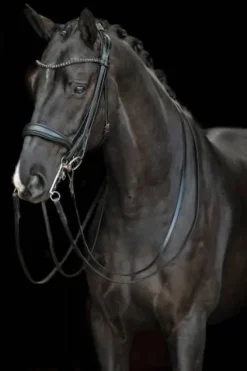 Discount Bride de dressage Grace - - Cuir avec strass Bridons Et Brides·Bride De Dressage|Brides De Dressage