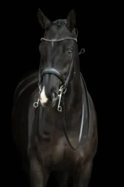 Discount Bride de dressage Grace - - Cuir avec strass Bridons Et Brides·Bride De Dressage|Brides De Dressage