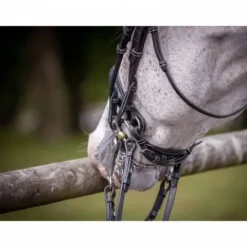 Clearance Bride de dressage vernie - Collection week - Bridons Et Brides·Bride De Dressage|Brides De Dressage