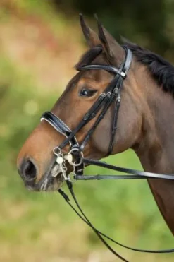 Best Bride de dressage Weymouth Bridons Et Brides·Bride De Dressage|Brides De Dressage