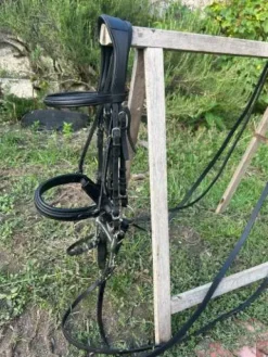 Sale Bride Bridons Et Brides·Bride De Dressage|Brides De Dressage