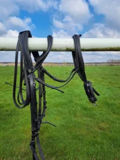 Bride dressage noire FS Bridons Et Brides·Bride De Dressage|Brides De Dressage