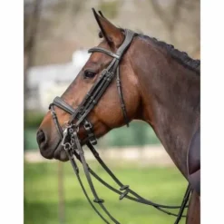 Clearance Bride Megève - Collection One - Jump'in Bridons Et Brides·Bride De Dressage|Brides De Dressage