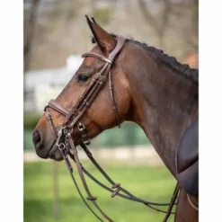 Clearance Bride Megève - Collection One - Jump'in Bridons Et Brides·Bride De Dressage|Brides De Dressage