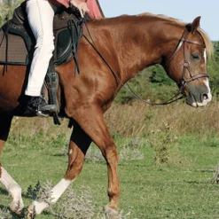 Clearance Bride sans mors Side pull Bridons Et Brides·Filet Sans Mors