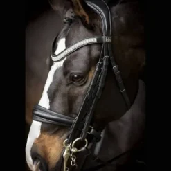 Discount Bride Silvano - Bridons Et Brides·Bride De Dressage|Brides De Dressage