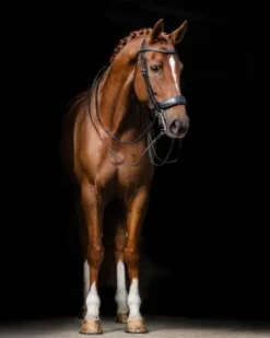 Clearance Bride technique Fayperform Bridons Et Brides·Bride De Dressage|Brides De Dressage