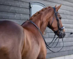 Clearance Bride technique Fayperform Bridons Et Brides·Bride De Dressage|Brides De Dressage