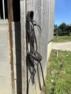 Bridon Bridons Et Brides·Bridon Cuir