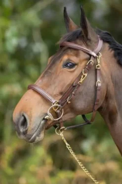 New Bridon - Licol Combo Bridons Et Brides·Bridon Licol|Bridons Et Brides·Bridon Cuir