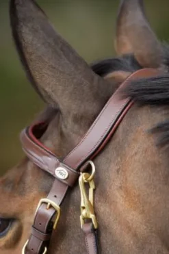 New Bridon - Licol Combo Bridons Et Brides·Bridon Licol|Bridons Et Brides·Bridon Cuir