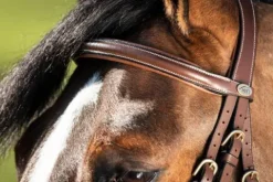 New Bridon Anatomic Bridons Et Brides·Bridon Anatomique|Bridons Et Brides·Bridon Cuir