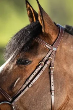 New Bridon Anatomic Bridons Et Brides·Bridon Anatomique|Bridons Et Brides·Bridon Cuir
