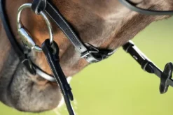 Hot Bridon Anatomic muserolle combinée Bridons Et Brides·Bridon Anatomique|Bridons Et Brides·Bridon Cuir