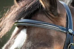 Hot Bridon Anatomic muserolle combinée Bridons Et Brides·Bridon Anatomique|Bridons Et Brides·Bridon Cuir