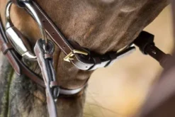 Hot Bridon Anatomic muserolle combinée Bridons Et Brides·Bridon Anatomique|Bridons Et Brides·Bridon Cuir