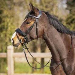 Online Bridon anatomique Skye - - Cuir avec paillettes Bridons Et Brides·Bridon Cuir