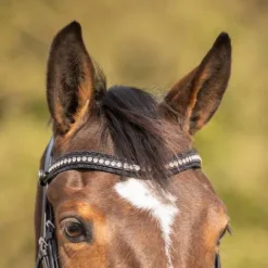 Online Bridon anatomique Skye - - Cuir avec paillettes Bridons Et Brides·Bridon Cuir