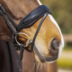 Online Bridon anatomique Skye - - Cuir avec paillettes Bridons Et Brides·Bridon Cuir