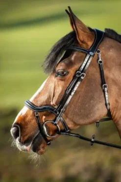 Hot Bridon anatomique Techno Bridons Et Brides·Bridon Anatomique|Bridons Et Brides·Bridon Cuir