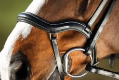 Hot Bridon anatomique Techno Bridons Et Brides·Bridon Anatomique|Bridons Et Brides·Bridon Cuir