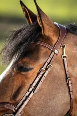 Hot Bridon anatomique Techno Bridons Et Brides·Bridon Anatomique|Bridons Et Brides·Bridon Cuir