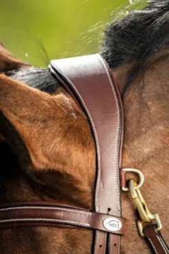 Hot Bridon anatomique Techno Bridons Et Brides·Bridon Anatomique|Bridons Et Brides·Bridon Cuir
